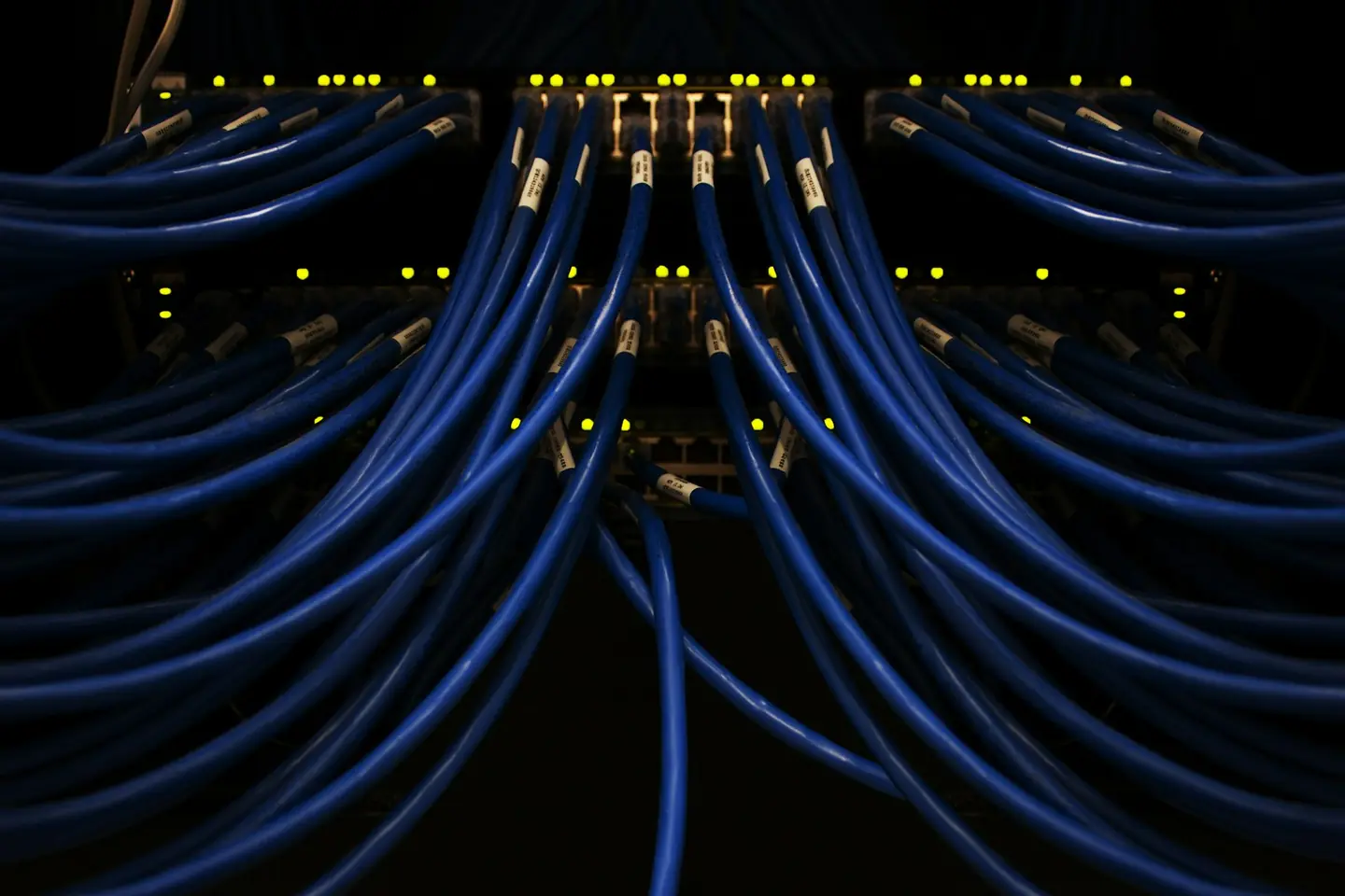 Labeled blue Ethernet patch cables plugged into network switches